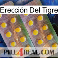 Erección Del Tigre new10